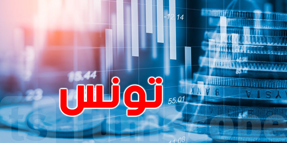 تونس: كلّ ما لا تعرفه عن نشاط ''الليزينغ'' في تونس